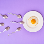 male fertility sperm swimming to egg